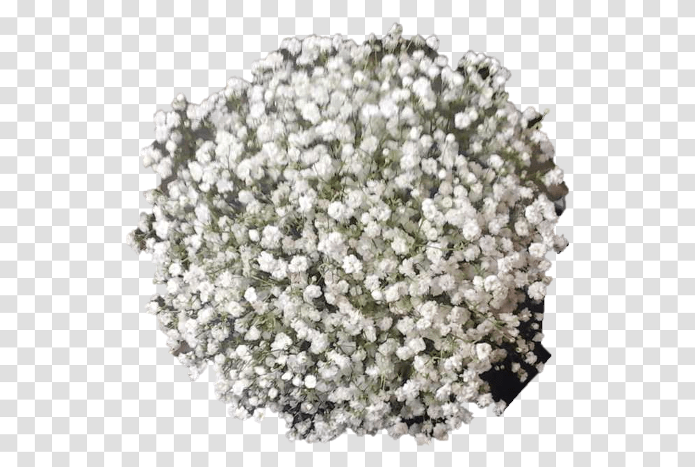 Babies Breath Bouquet From Top Artificial Flower, Plant, Blossom, Crystal, Rug Transparent Png