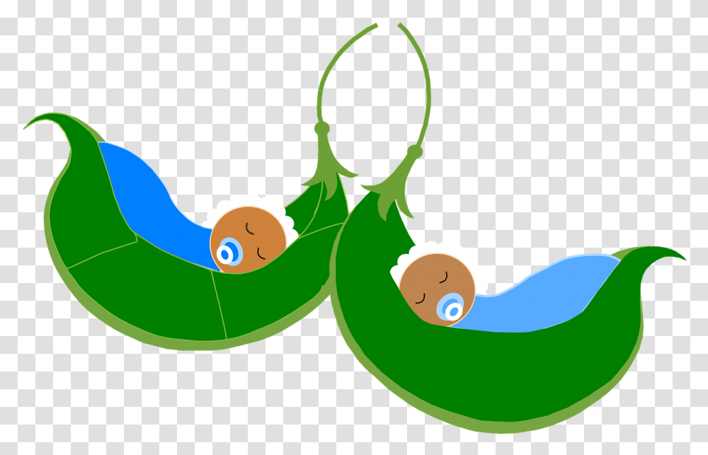Babies Sleeping Cradle Free Picture Two Peas In A Pod Baby, Invertebrate, Animal, Snail, Sea Life Transparent Png
