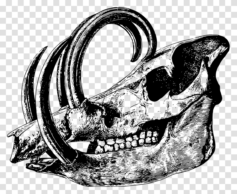 Babirusa Skull Clip Arts Animal Skull Icon, Gray, World Of Warcraft Transparent Png