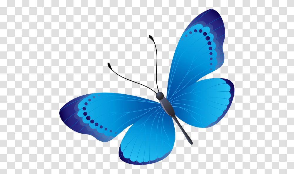 Babochka Nasekomoe Butterfly Insect Schmetterling, Balloon, Animal, Invertebrate, Pattern Transparent Png