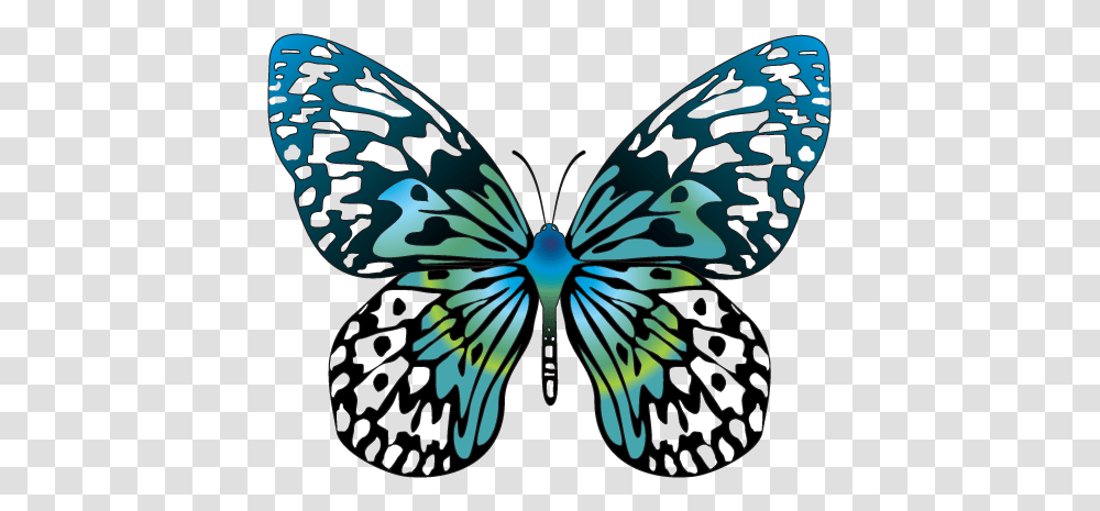 Babochki Butterfly Butterfly Clip Art, Insect, Invertebrate, Animal Transparent Png