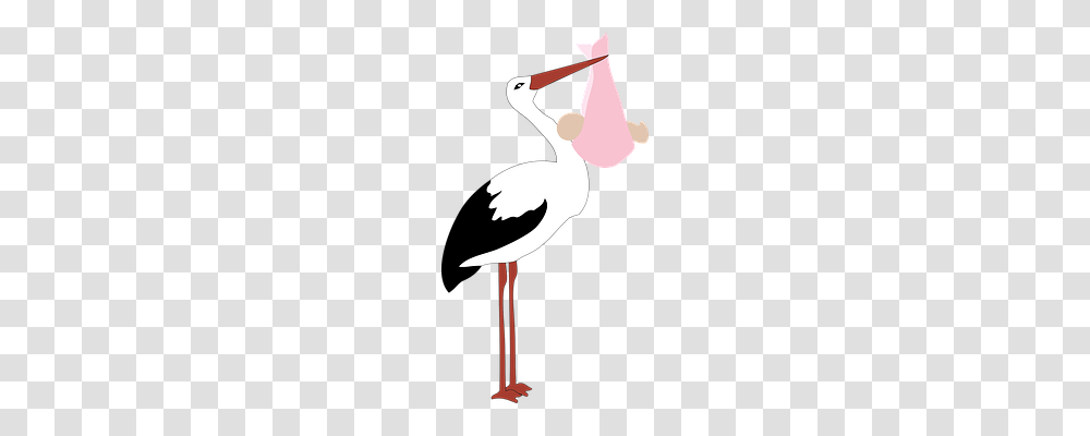 Baby Person, Bird, Animal, Axe Transparent Png