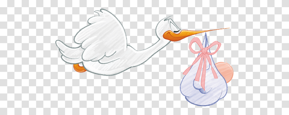 Baby Person, Animal, Bird, Dodo Transparent Png