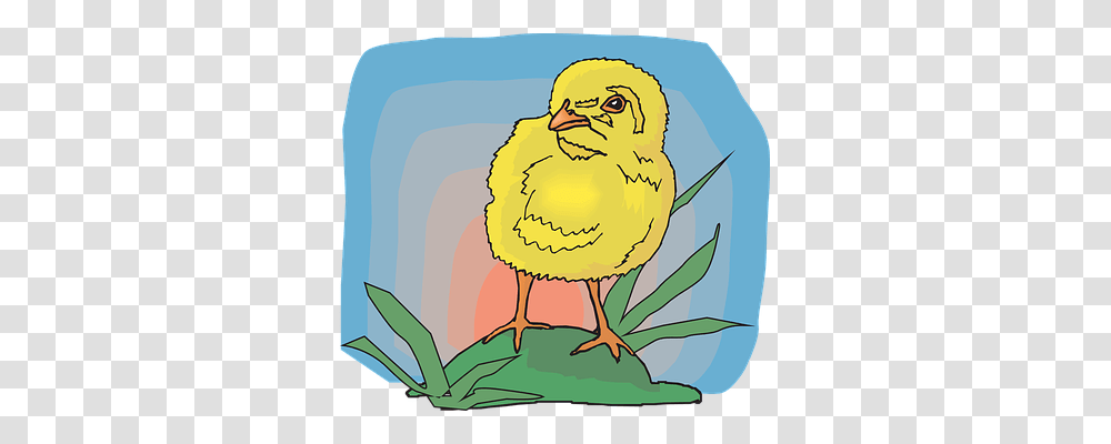 Baby Animals, Bird, Painting Transparent Png