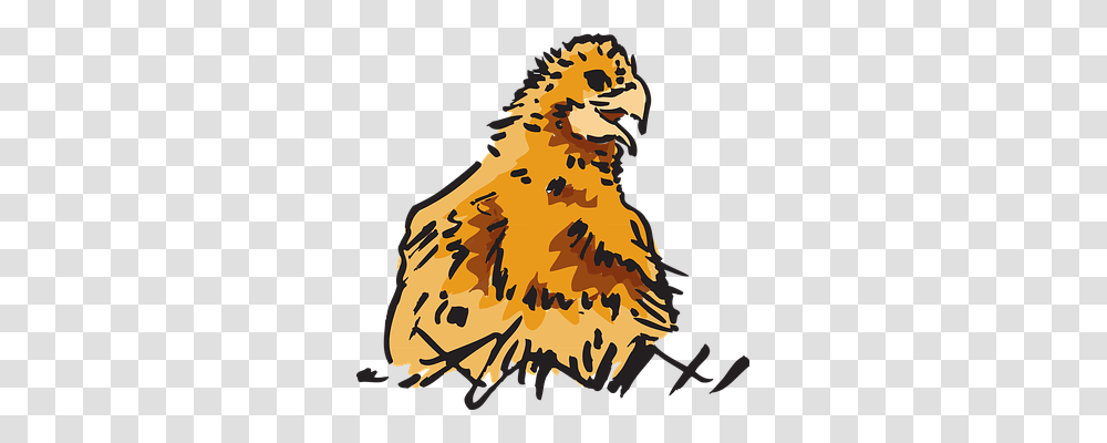 Baby Animals, Hen, Chicken, Poultry Transparent Png