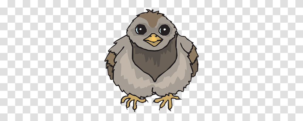 Baby Animals, Bird, Fowl, Poultry Transparent Png