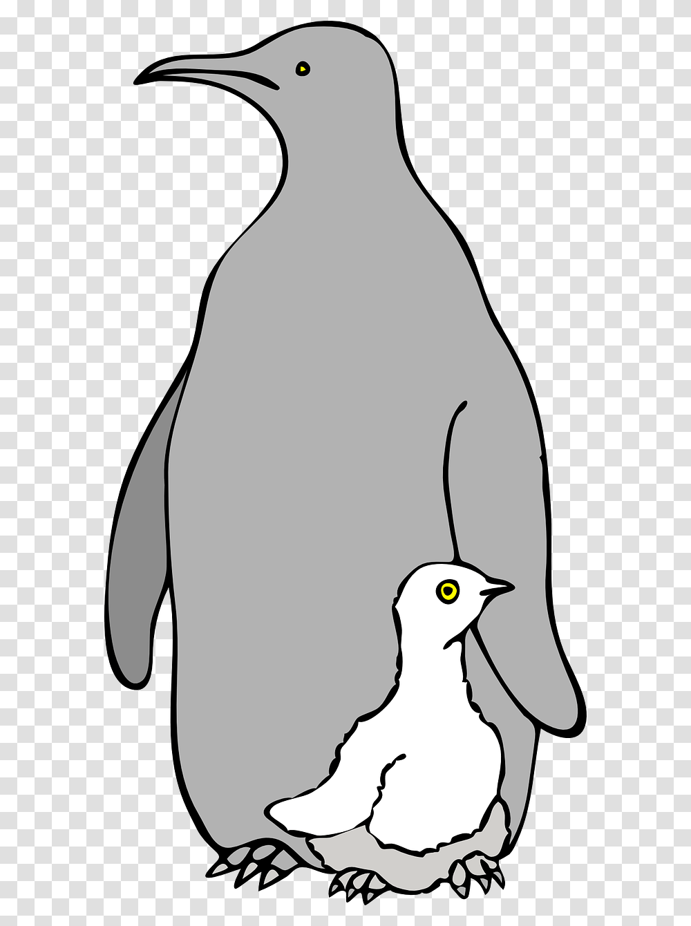 Baby And Mommy Animals Outline, Penguin, Bird, King Penguin Transparent Png