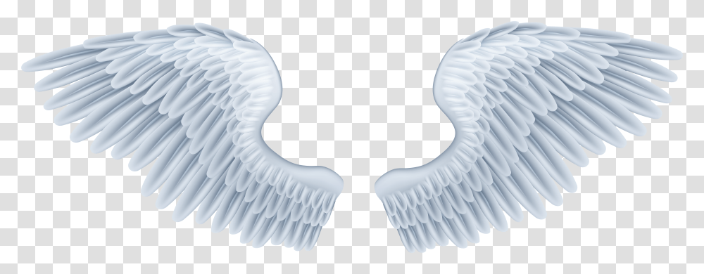 Baby Angel Wings Transparent Png