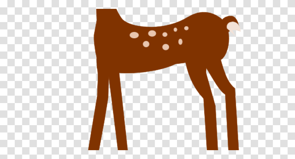 Baby Animal Clipart Deer, Mammal, Horse, Furniture, Colt Horse Transparent Png