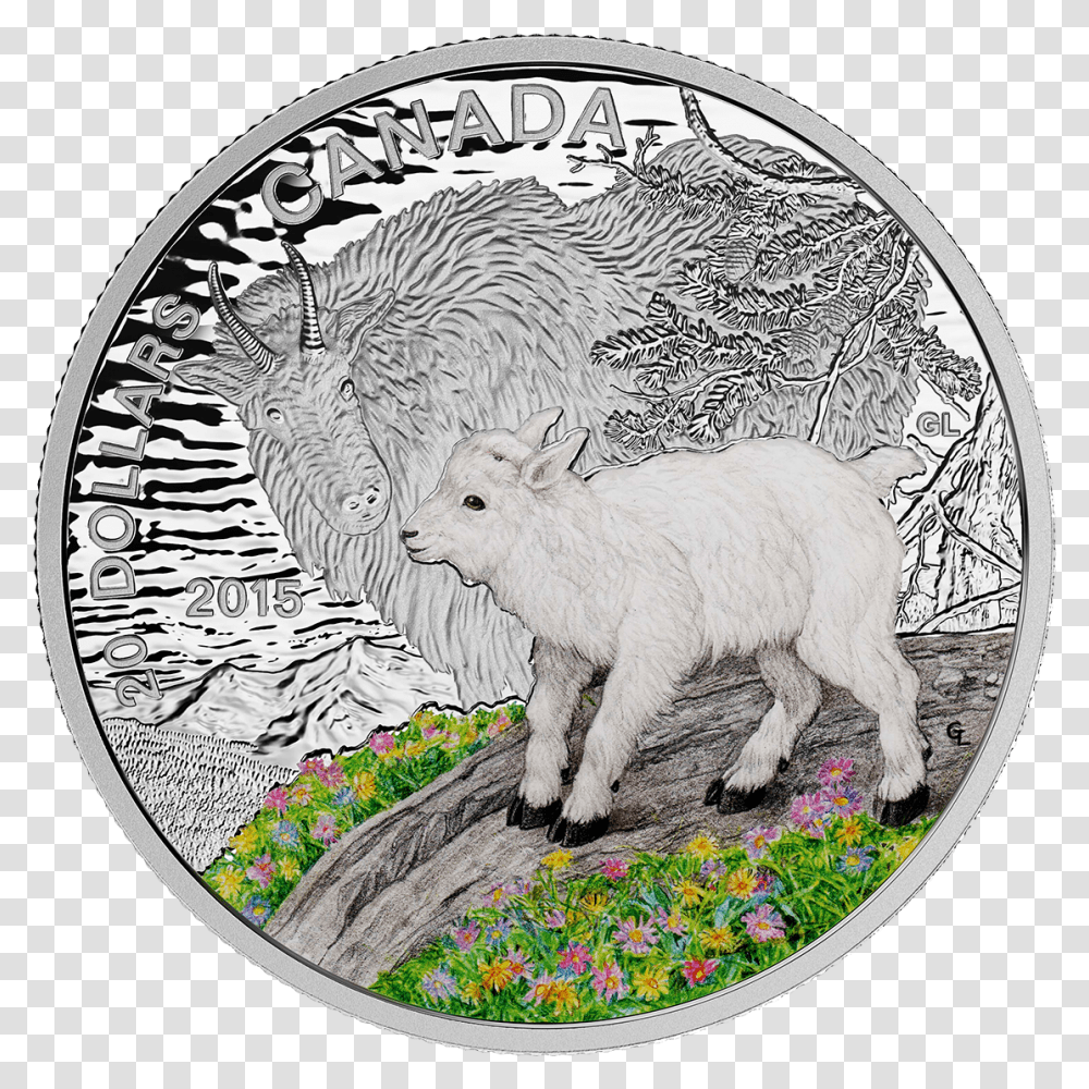 Baby Animals 20 Coin And Stamp Set, Sheep, Mammal, Wildlife, Money Transparent Png