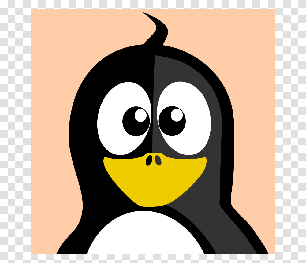 Baby, Animals, Bird, Penguin, King Penguin Transparent Png