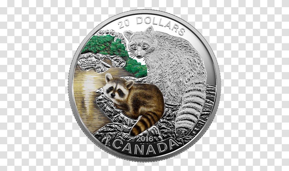 Baby Animals Raccoon Mintage Animals On Canadian Coins, Cat, Pet, Mammal, Money Transparent Png