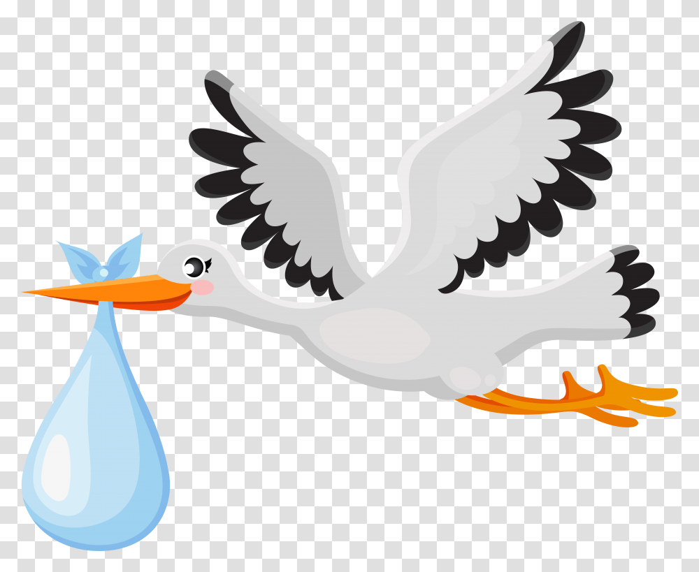 Baby Banner, Animal, Bird, Waterfowl, Crane Bird Transparent Png
