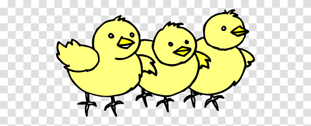 Baby Barn Farm Chicken Line Art Chicks Chick, Poultry, Fowl, Bird, Animal Transparent Png