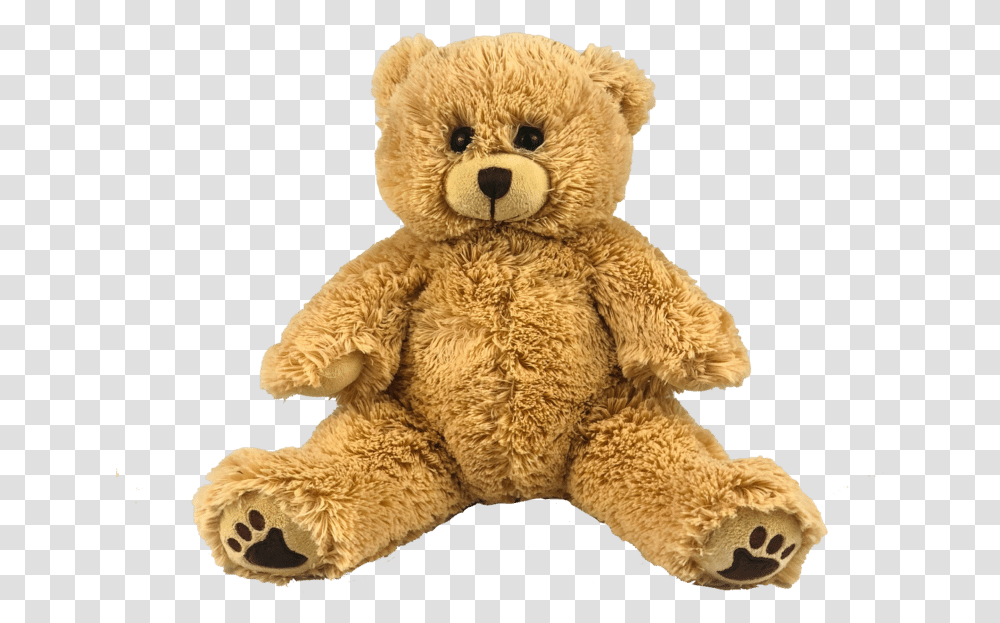 Baby Bear, Teddy Bear, Toy, Plush Transparent Png
