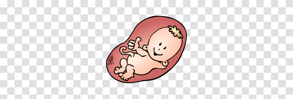 Baby Belly Baby Belly Images, Animal, Mammal, Snowman, Winter Transparent Png