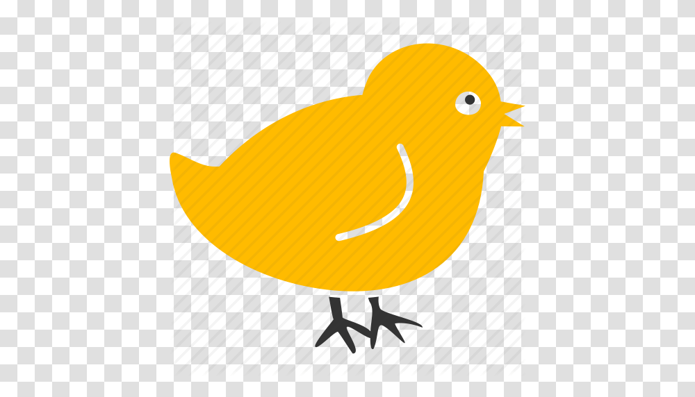 Baby Bird Chick Chicken Nestling New Small Icon, Canary, Animal Transparent Png