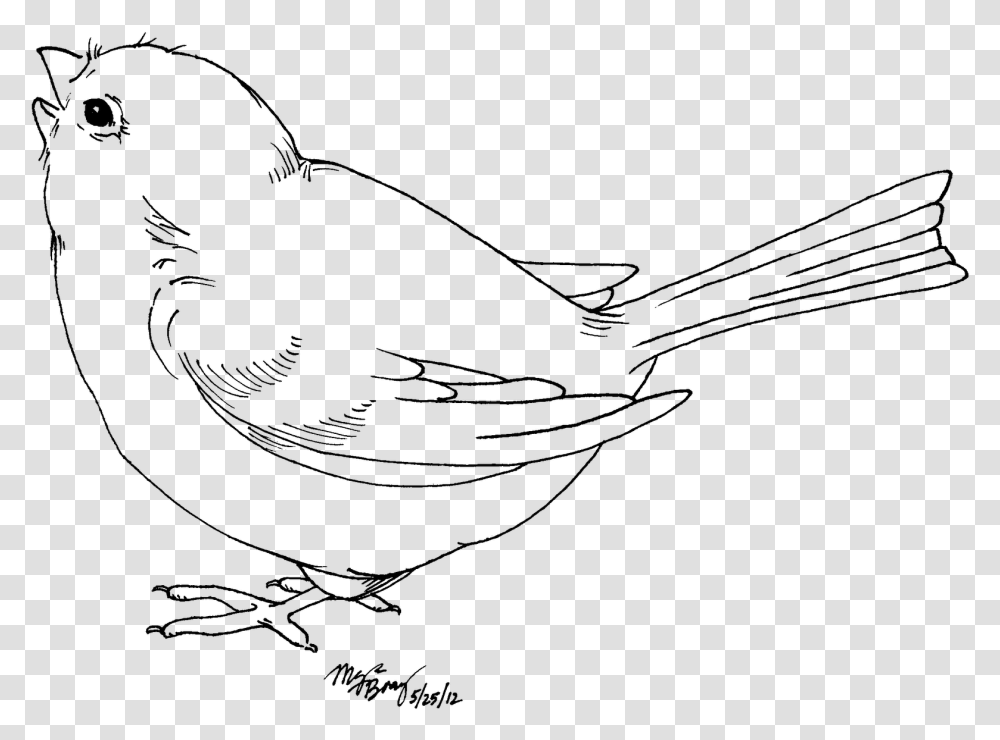 Baby Bird Clipart Black And White, Nature, Outdoors, Outer Space, Astronomy Transparent Png