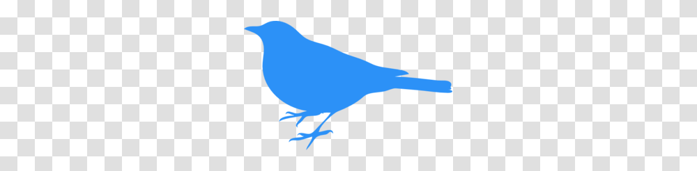 Baby Blue Bird Clip Art, Animal, Canary, Person Transparent Png