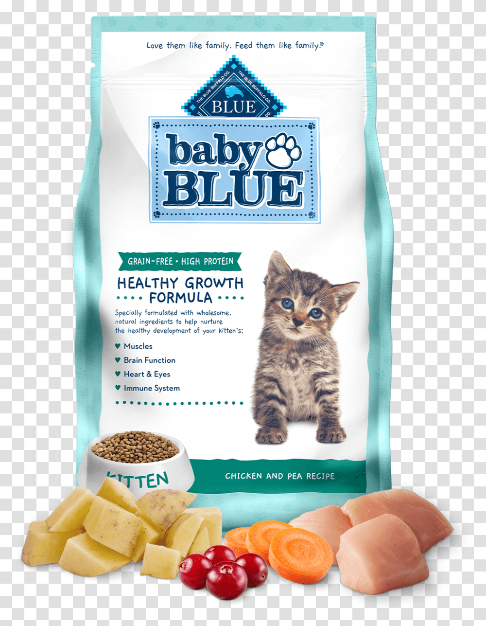 Baby Blue Kitten High Protein Grain Free Chicken Formula Blue Buffalo Co. Ltd., Plant, Cat, Pet, Mammal Transparent Png