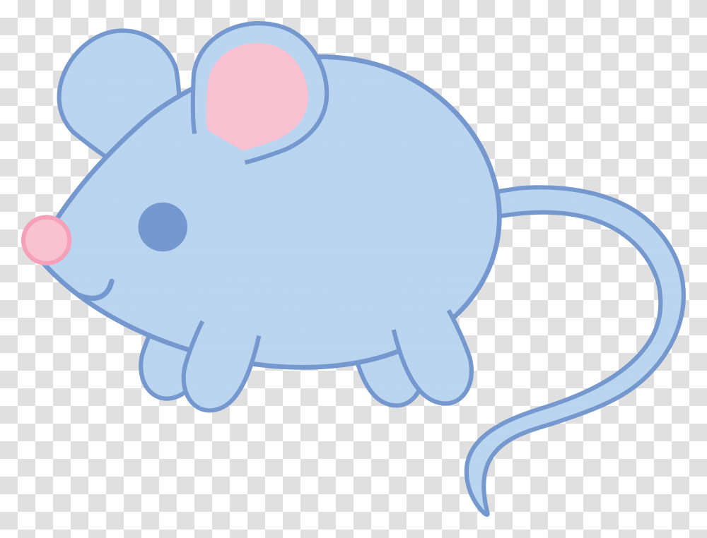 Baby Blue Mouse, Piggy Bank, Baseball Cap, Hat Transparent Png