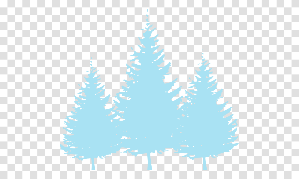 Baby Blue Trees Svg Clip Arts Pine Tree Clip Art, Plant, Ice, Outdoors, Nature Transparent Png