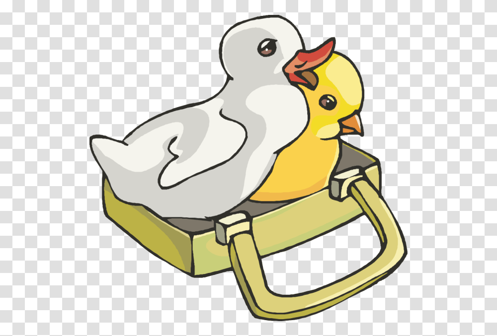 Baby Border Duck And Chick Clipart, Bird, Animal, Harness, Poultry Transparent Png