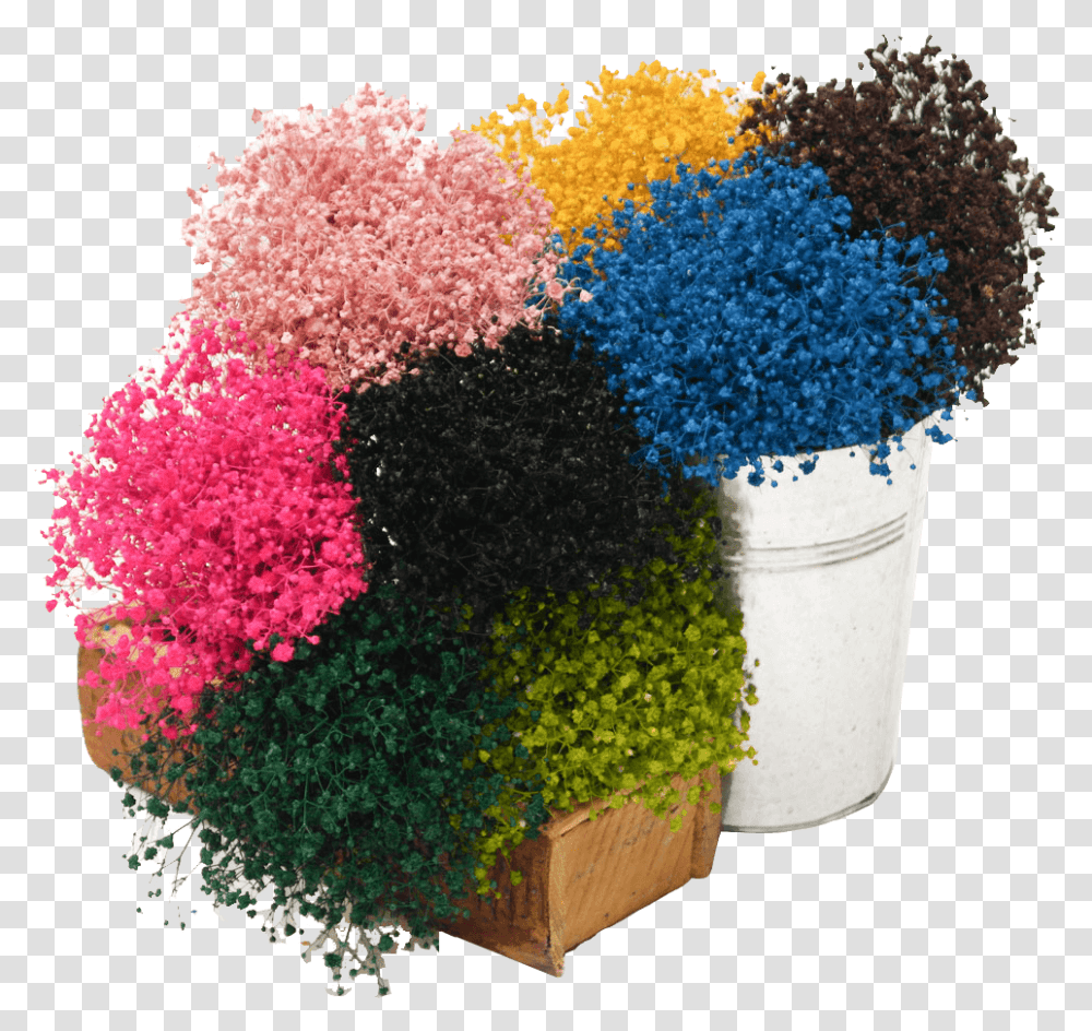 Baby Bouquet, Dye, Plastic, Plant, Pollen Transparent Png