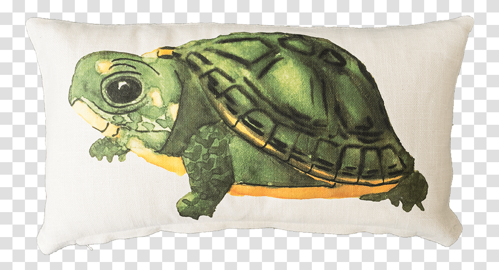 Baby Box Turtle Galpagos Tortoise, Pillow, Cushion, Reptile, Sea Life Transparent Png