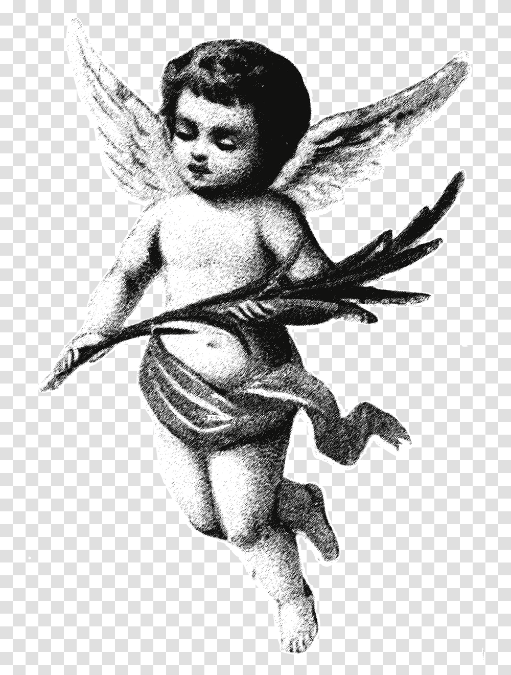 Baby Boy Angels, Cupid, Person, Human Transparent Png
