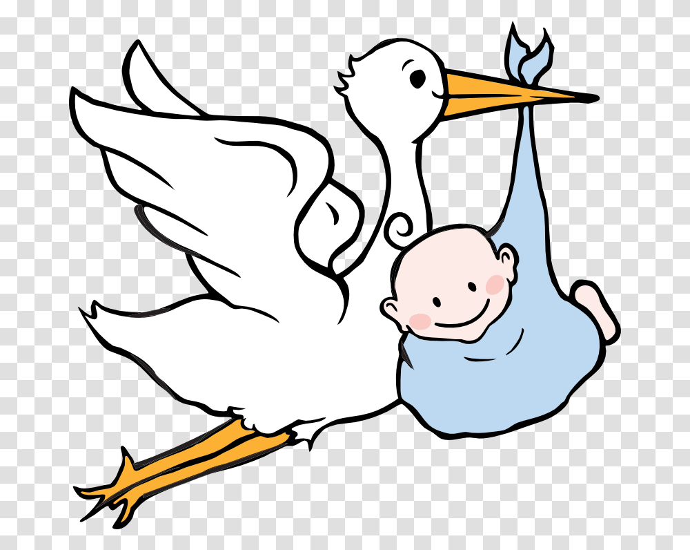 Baby Boy Clipart Stork Baby, Animal, Bird, Pelican, Crane Bird Transparent Png