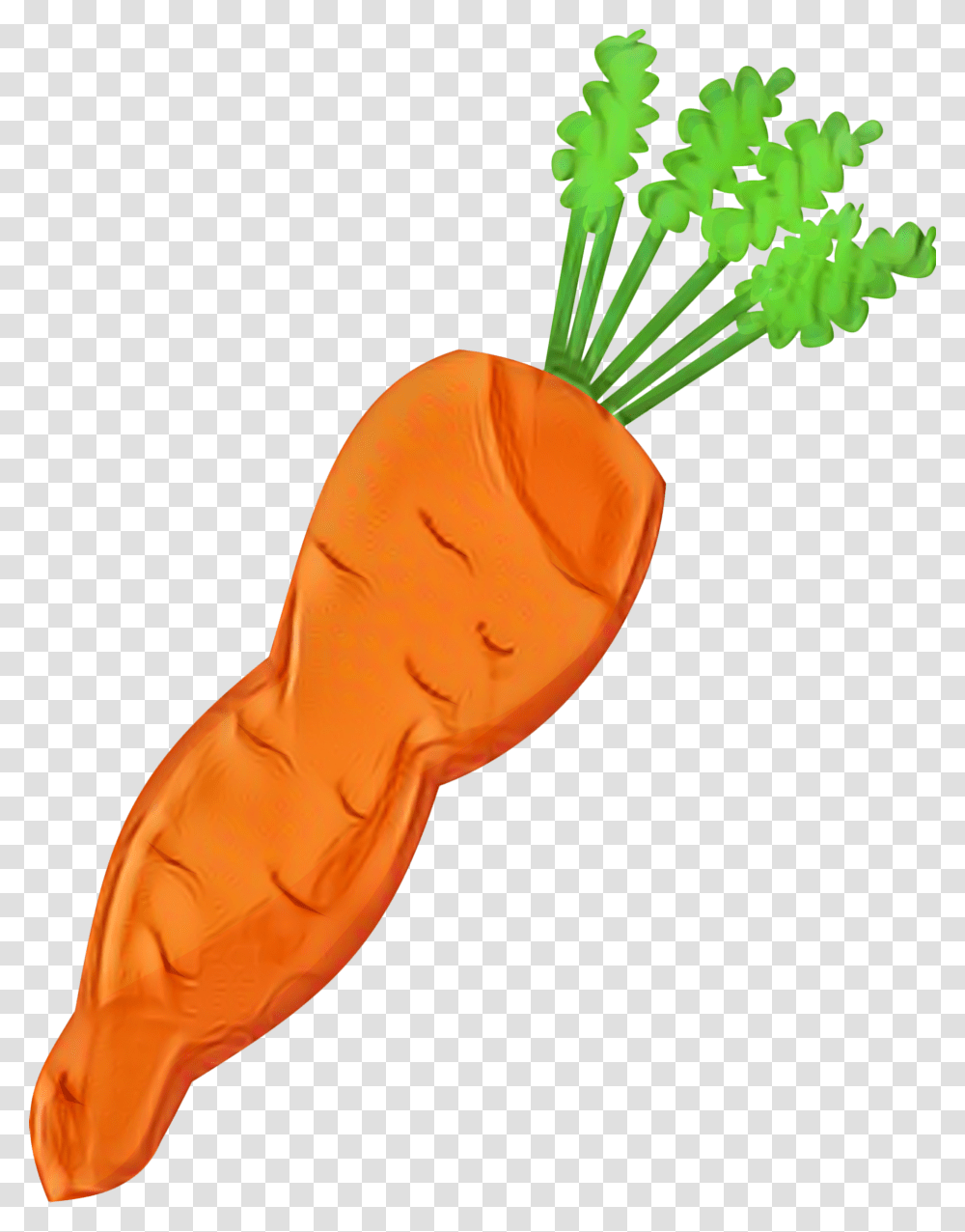 Baby Carrot Clip Art Vegetable Carrot Salad Clip Art Carrot, Plant, Food, Person, Human Transparent Png