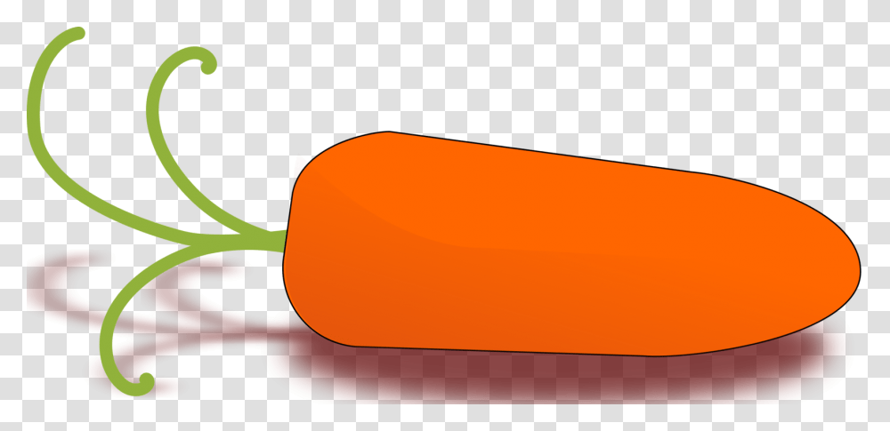 Baby Carrot Download Drawing, Plant, Vegetable, Food, Pepper Transparent Png