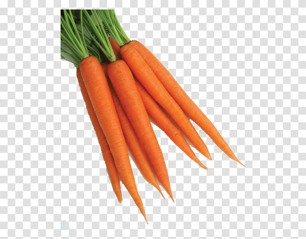 Baby Carrot, Plant, Vegetable, Food, Hot Dog Transparent Png