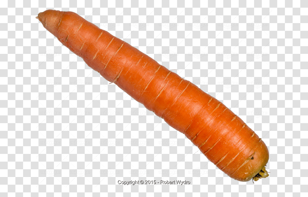 Baby Carrot, Plant, Vegetable, Food Transparent Png