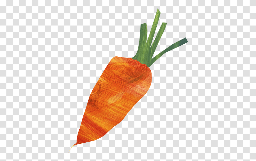 Baby Carrot, Vegetable, Plant, Food, Lamp Transparent Png