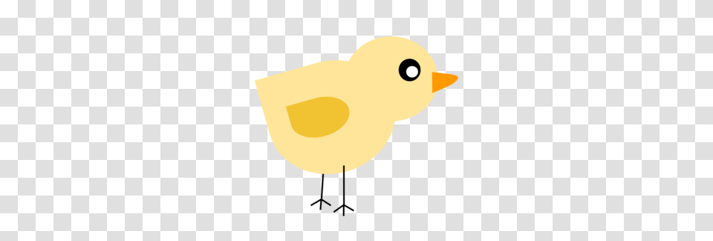 Baby Chick Clip Art Chicks Baby Chicks Baby, Animal, Bird, Poultry, Fowl Transparent Png