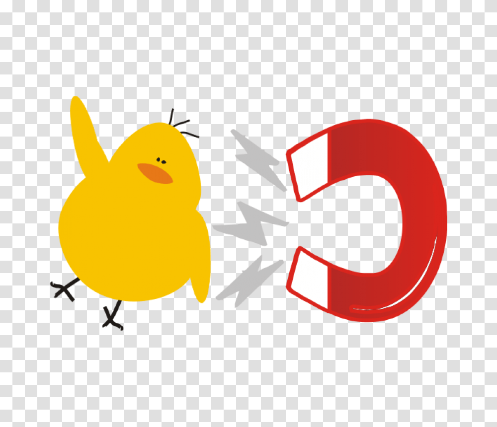 Baby Chick Coloring, Bird, Animal Transparent Png