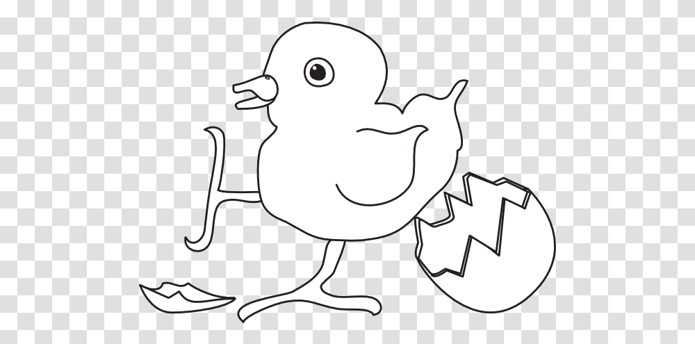Baby Chick Hatched Outline Clip Art Vector Black And White Baby Bird Cartoon, Animal, Poultry, Fowl, Chicken Transparent Png