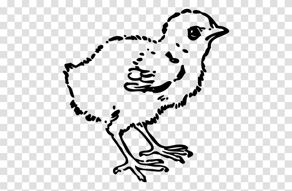 Baby Chick Svg Clip Arts Black And White Clip Art Chick, Bird, Animal, Stencil, Beak Transparent Png