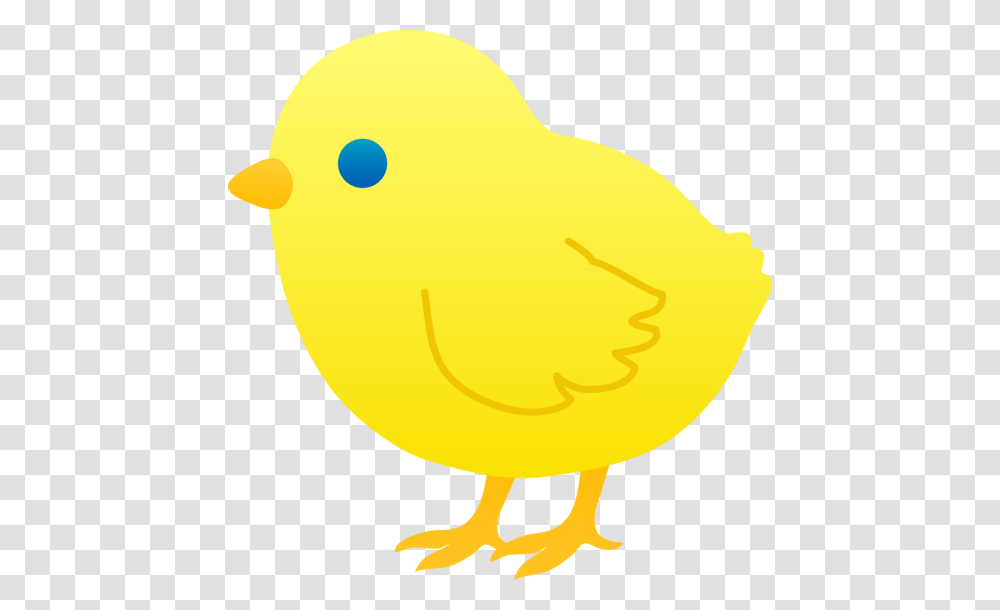 Baby Chicken Cliparts, Animal, Bird, Fowl, Poultry Transparent Png