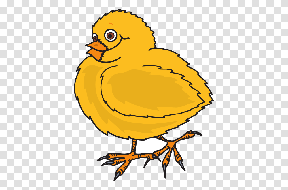 Baby Chicken Cliparts, Bird, Animal, Poultry, Fowl Transparent Png