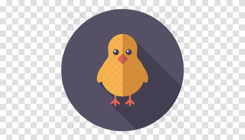 Baby Chicken Icon Soft, Bird, Animal, Fowl, Poultry Transparent Png
