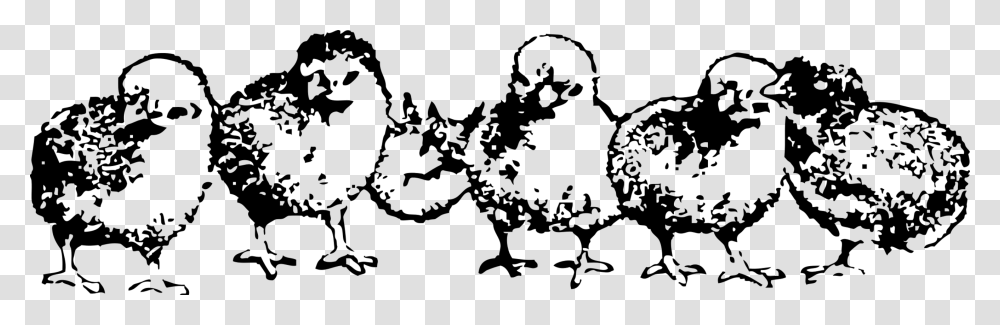 Baby Chickens Clipart Black Amp White, Gray, World Of Warcraft Transparent Png