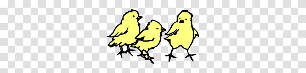Baby Chicks Clip Art, Bird, Animal, Poultry, Fowl Transparent Png