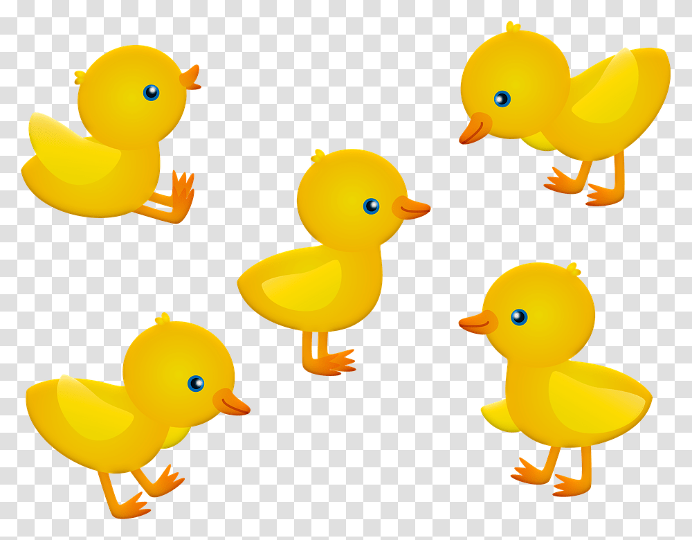 Baby Chicks Clipart Pintinhos, Animal, Bird, Poultry, Fowl Transparent Png