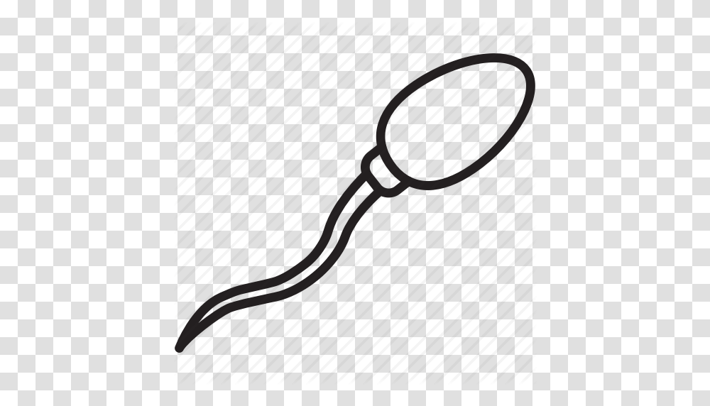 Baby Child Reproduction Sperm Icon, Racket, Tennis Racket, Tie, Accessories Transparent Png