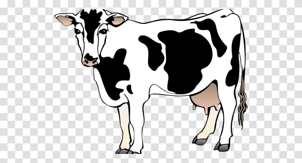 Baby Cow Cliparts Animated Image Of Cow, Cattle, Mammal, Animal, Dairy Cow Transparent Png