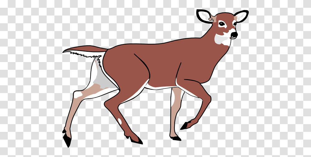 Baby Deer Cliparts, Antelope, Wildlife, Mammal, Animal Transparent Png