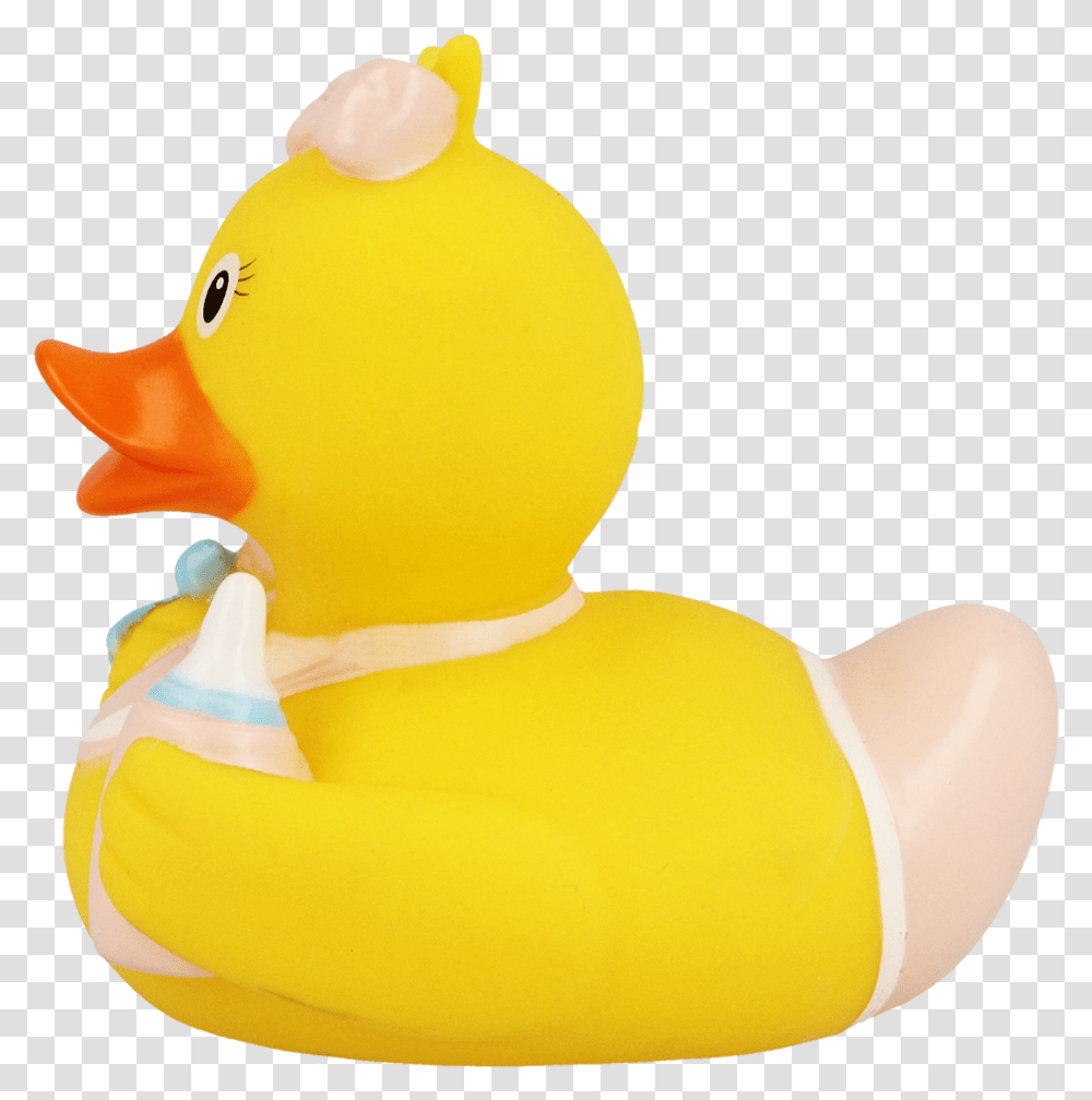 Baby Duck, Animal, Snowman, Winter, Outdoors Transparent Png